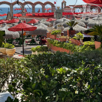 фото из отзыва ID 2742311