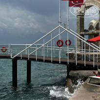 фото из отзыва ID 2742311