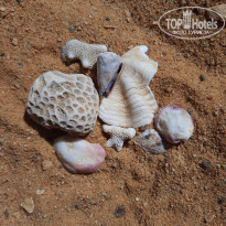 фото из отзыва ID 2742316