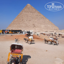 фото из отзыва ID 2742316