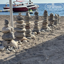 фото из отзыва ID 2742325