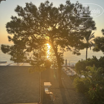 фото из отзыва ID 2742325