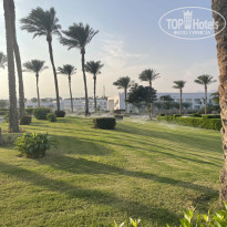 фото из отзыва ID 2742342