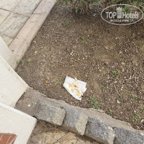 фото из отзыва ID 2742348