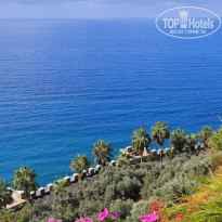 фото из отзыва ID 2742350