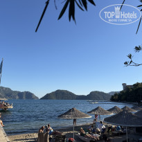 фото из отзыва ID 2742346