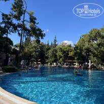 фото из отзыва ID 2742346