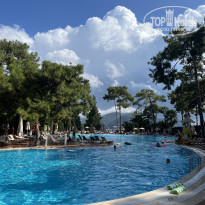 фото из отзыва ID 2742346