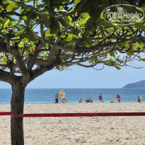 фото из отзыва ID 2742390