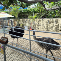 фото из отзыва ID 2742390