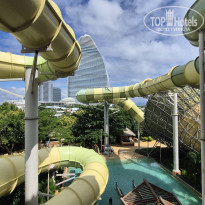 фото из отзыва ID 2742390