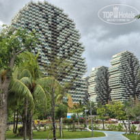 фото из отзыва ID 2742390