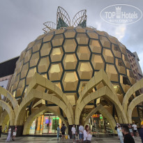 фото из отзыва ID 2742390