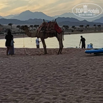 фото из отзыва ID 2742392