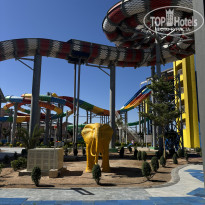 фото из отзыва ID 2742411