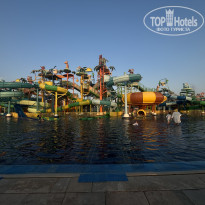 фото из отзыва ID 2742411