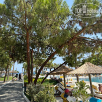 фото из отзыва ID 2742420