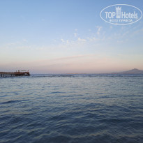 фото из отзыва ID 2742431