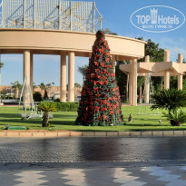 фото из отзыва ID 2742431