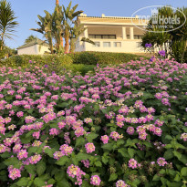 фото из отзыва ID 2742440