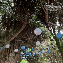 фото из отзыва ID 2742440