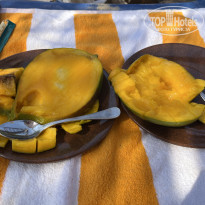 фото из отзыва ID 2742440