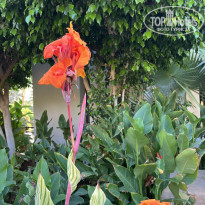 фото из отзыва ID 2742440