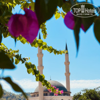 фото из отзыва ID 2742448