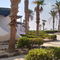 фото из отзыва ID 2742455