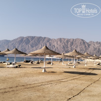 фото из отзыва ID 2742455