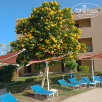 фото из отзыва ID 2742467