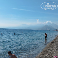 фото из отзыва ID 2742471