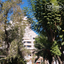 фото из отзыва ID 2742471