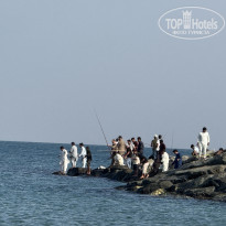 фото из отзыва ID 2742482