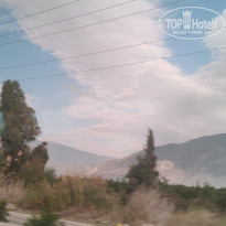 фото из отзыва ID 2742498