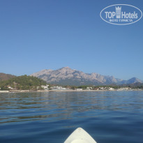 фото из отзыва ID 2742498