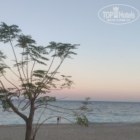 фото из отзыва ID 2742498