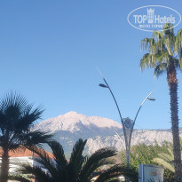 фото из отзыва ID 2742498