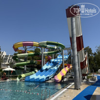 фото из отзыва ID 2742497