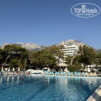 фото из отзыва ID 2742497