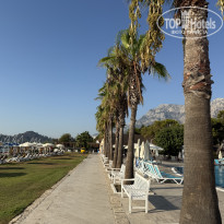 фото из отзыва ID 2742497