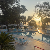 фото из отзыва ID 2742497