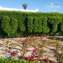 фото из отзыва ID 2742504