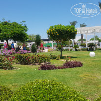 фото из отзыва ID 2742504