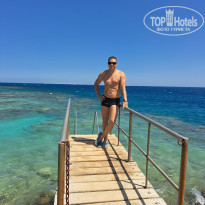 фото из отзыва ID 2742524