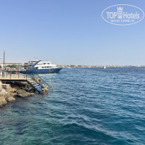 фото из отзыва ID 2742531