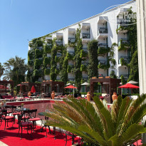 фото из отзыва ID 2742547