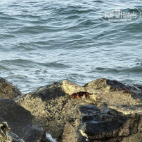 фото из отзыва ID 2742468