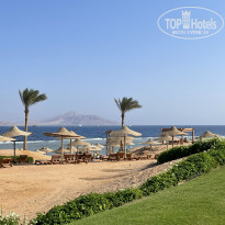 фото из отзыва ID 2742548