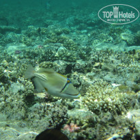 фото из отзыва ID 2742554